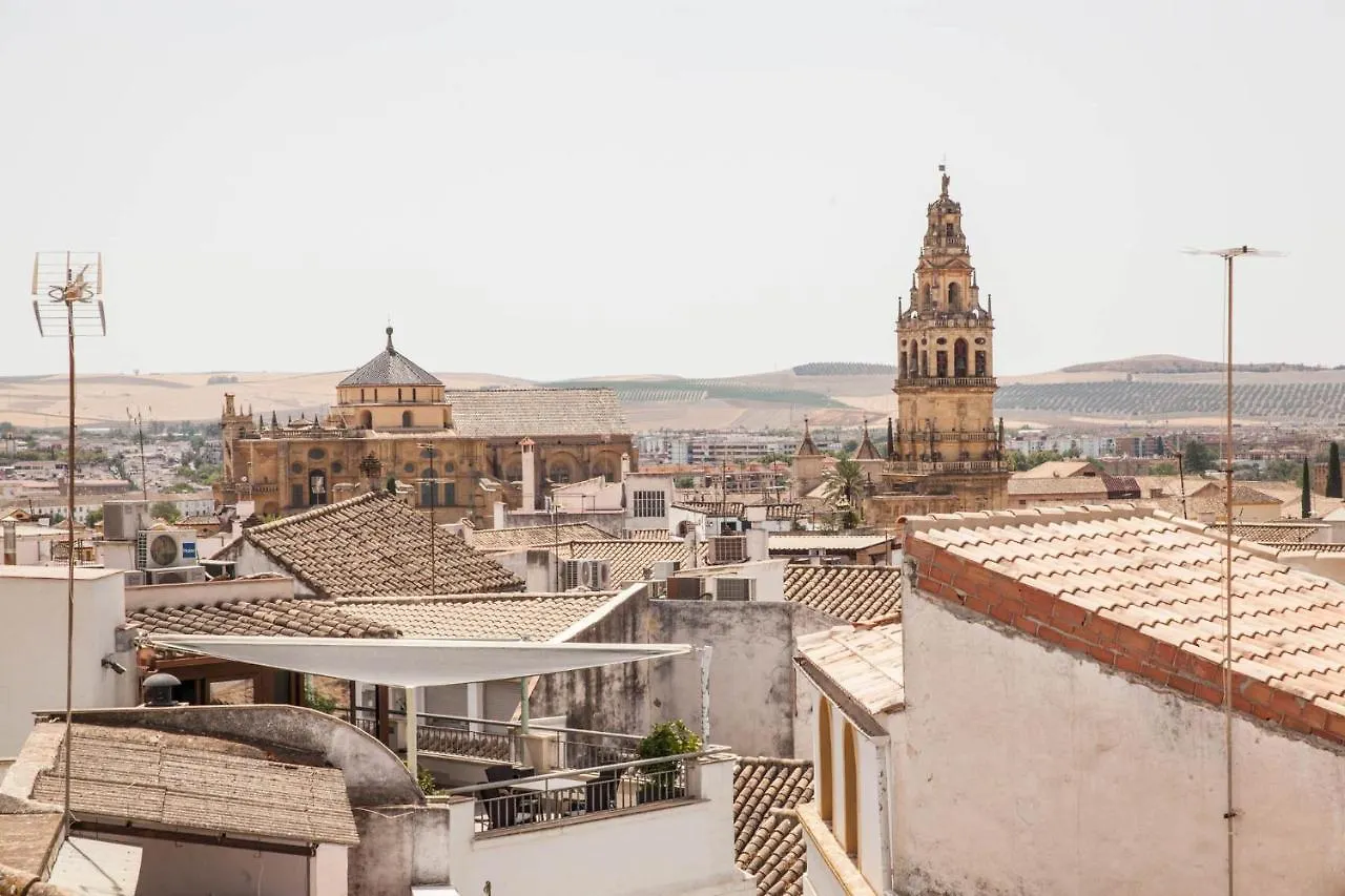 Appartamento Entre El Centro Y La Mezquita Totalmente Climatizado Parking Gratuito Cordova Spagna